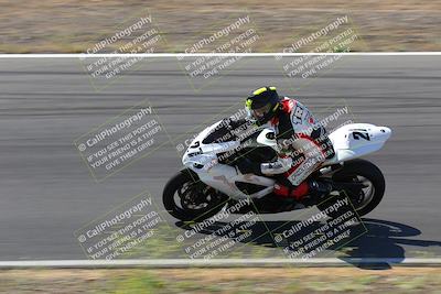 media/May-09-2022-Moto Forza (Mon) [[0226cf3505]]/Group B/B 920am/